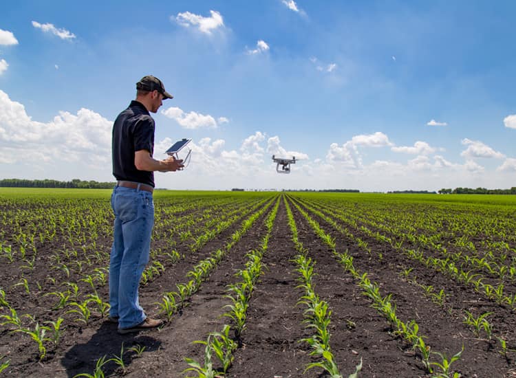 Bull Farming Supplies Drones